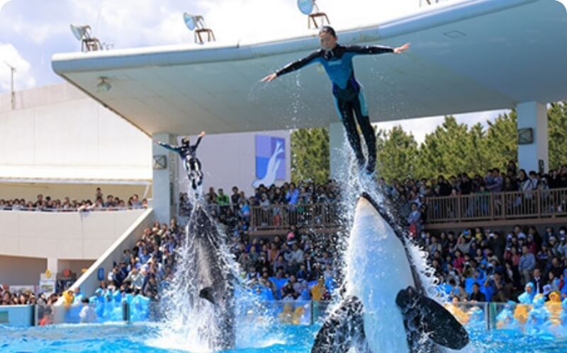 株式会社グランピスタ ホテル＆リゾート